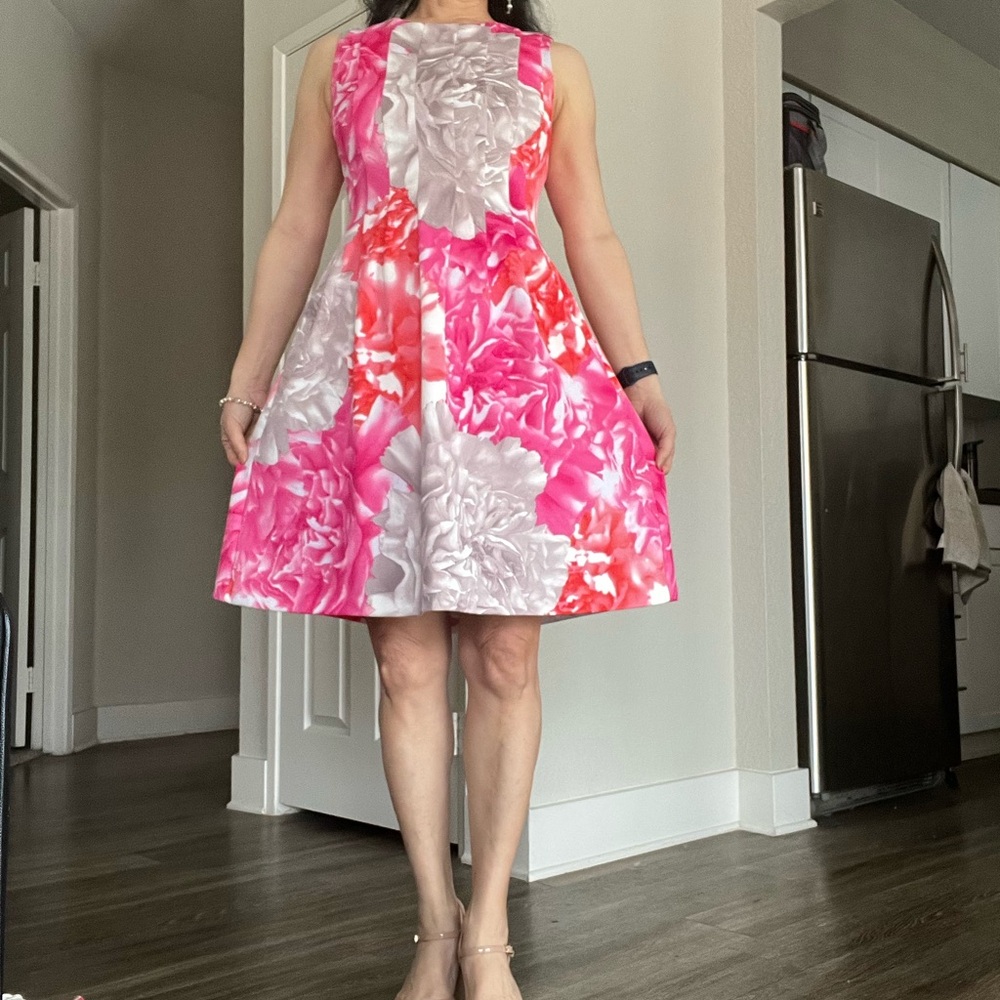 Eliza J Pink and White Sleeveless A-Line Dress